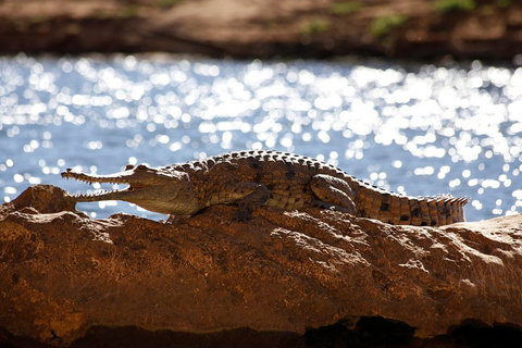 Windjana Explorer - Accommodation Broome 5