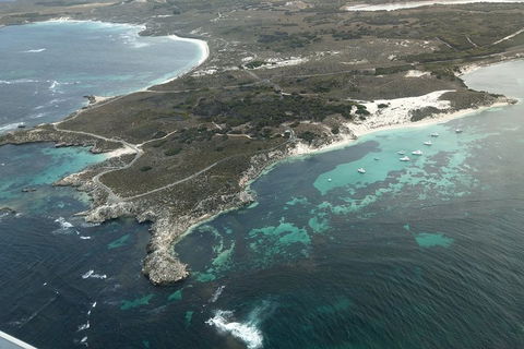 Full Day Tour By Seaplane To Rottnest Island Small Group Trip - Accommodation Broome 5