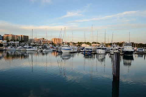 Darwin Shore Excursion: Hop-on Hop-off Bus Tour - Accommodation Broome 2