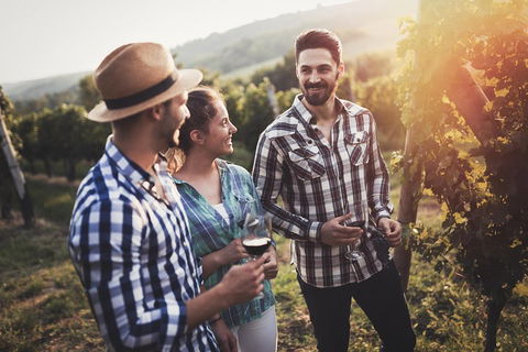 Full Day Mount Tamborine Winery Tour From Gold Coast - Accommodation Broome 5