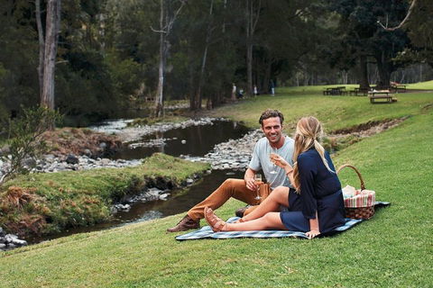 Mt Tamborine - Hinterland Wonders Self Guided - Accommodation Broome 0