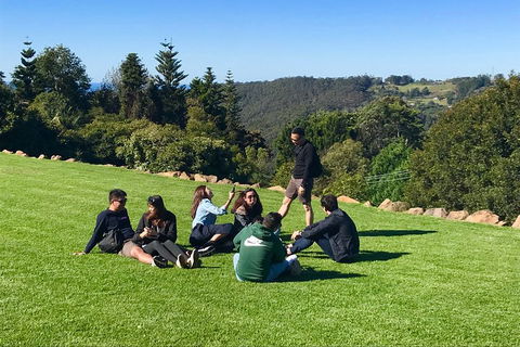 Mt Tamborine - Hinterland Wonders Self Guided - Accommodation Broome 1