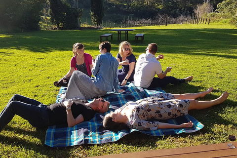 Mt Tamborine - Hinterland Wonders Self Guided - Accommodation Broome 2