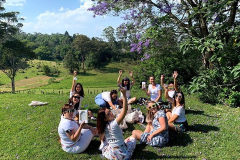 Mt Tamborine - Hinterland Wonders Self Guided - Accommodation Broome 5