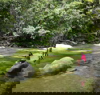 Daintree Dreaming Traditional Aboriginal Fishing from Cairns or Port Douglas - Accommodation Broome
