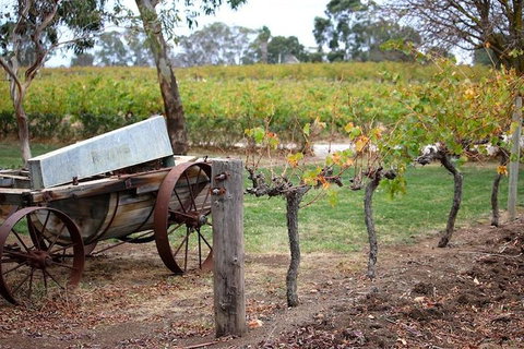 Maggie Beer Farm - Barossa Valley Regional Tour - Accommodation Broome 1