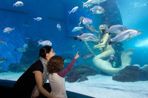 SEA LIFE Melbourne Aquarium Admission Ticket - Accommodation Broome 4