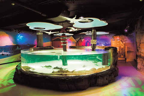 SEA LIFE Melbourne Aquarium Admission Ticket - Accommodation Broome 5