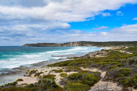 Kangaroo Island Luxury Small Group 'East End Explorer' Full Day Tour - Accommodation Broome 0