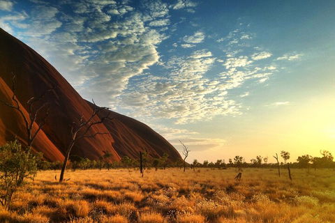 Highlights Of Uluru Including Sunrise And Breakfast - Accommodation Broome 0