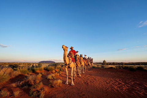 Uluru Small-Group Tour By Camel At Sunrise Or Sunset - Accommodation Broome 3