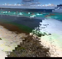Experience Rottnest with Ferry  Bike Hire from Perth or Fremantle - Accommodation Broome