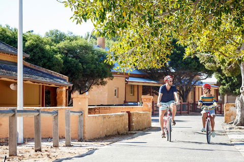 Experience Rottnest With Ferry & Bike Hire From Perth Or Fremantle - Accommodation Broome 1