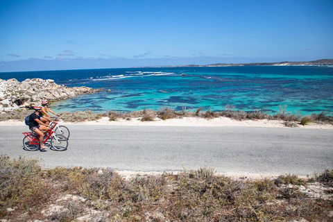 Experience Rottnest With Ferry & Bike Hire From Perth Or Fremantle - Accommodation Broome 2