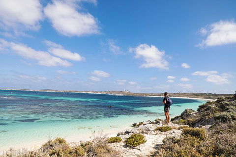 Experience Rottnest With Ferry & Bike Hire From Perth Or Fremantle - Accommodation Broome 3
