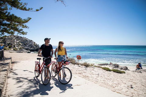 Experience Rottnest With Ferry & Bike Hire From Perth Or Fremantle - Accommodation Broome 4