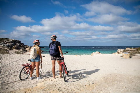 Experience Rottnest With Ferry & Bike Hire From Perth Or Fremantle - Accommodation Broome 5