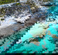 Rottnest Island Round-Trip Ferry from Perth or Fremantle - Accommodation Broome