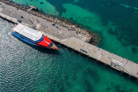 Rottnest Island Round-Trip Ferry From Perth Or Fremantle - Accommodation Broome 1