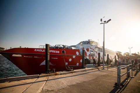 Rottnest Island Round-Trip Ferry From Perth Or Fremantle - Accommodation Broome 2