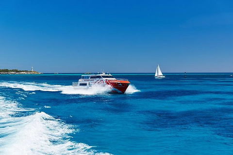 Rottnest Island Round-Trip Ferry From Perth Or Fremantle - Accommodation Broome 4
