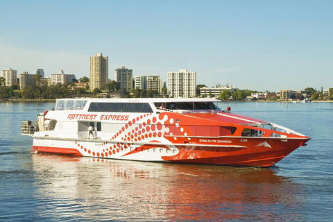 Rottnest Island Round-Trip Ferry From Perth Or Fremantle - Accommodation Broome 5