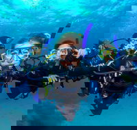 Great Barrier Reef Diving and Snorkeling Cruise from Cairns - Accommodation Broome