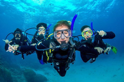 Great Barrier Reef Diving And Snorkeling Cruise From Cairns - Accommodation Broome 0