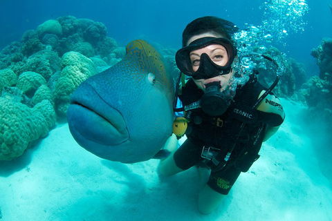 Great Barrier Reef Diving And Snorkeling Cruise From Cairns - Accommodation Broome 2