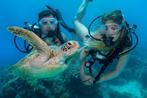 Great Barrier Reef Diving And Snorkeling Cruise From Cairns - Accommodation Broome 4