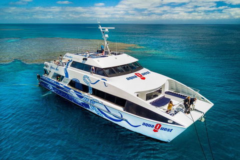 Great Barrier Reef Diving And Snorkeling Cruise From Cairns - Accommodation Broome 5