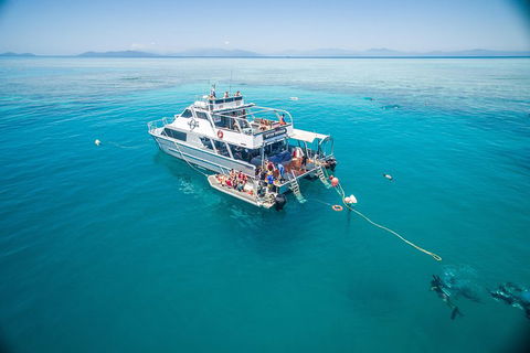 Ocean Freedom Great Barrier Reef Personal Luxury Snorkel & Dive Cruise, Cairns - Accommodation Broome 0