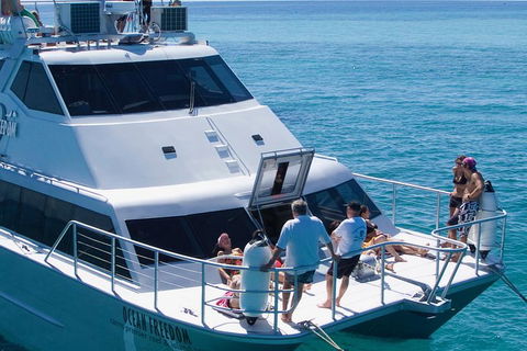 Ocean Freedom Great Barrier Reef Personal Luxury Snorkel & Dive Cruise, Cairns - Accommodation Broome 1