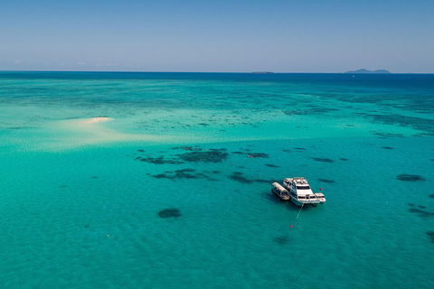 Ocean Freedom Great Barrier Reef Personal Luxury Snorkel & Dive Cruise, Cairns - Accommodation Broome 2