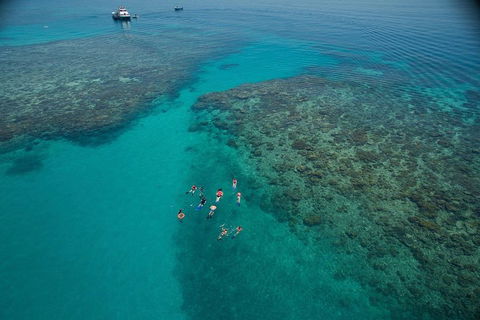 Ocean Freedom Great Barrier Reef Personal Luxury Snorkel & Dive Cruise, Cairns - Accommodation Broome 3