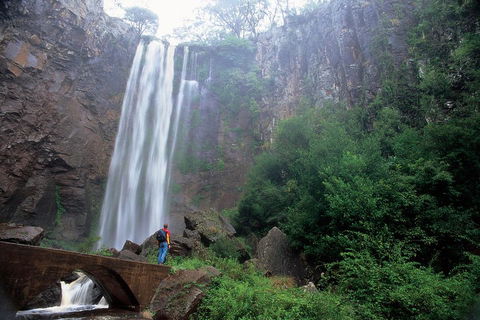 Brisbane Day In The Country Full-Day Small-Group Tour With Lunch - Accommodation Broome 3