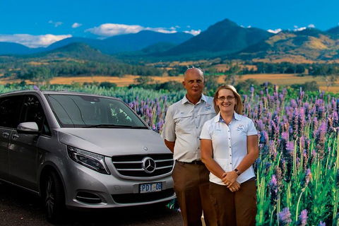 Brisbane Day In The Country Full-Day Small-Group Tour With Lunch - Accommodation Broome 4