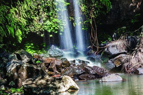 Full Day Small Group Luxury Tour To Tamborine Mountain - Accommodation Broome 0