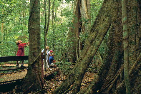 Full Day Small Group Luxury Tour To Tamborine Mountain - Accommodation Broome 1