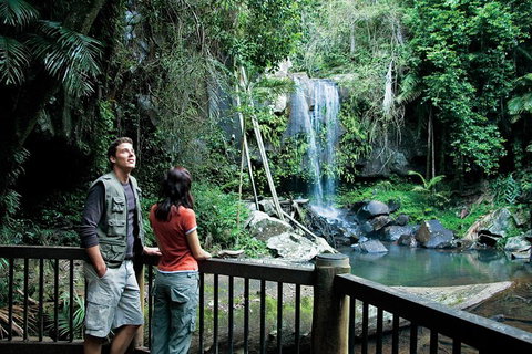 Full Day Small Group Luxury Tour To Tamborine Mountain - Accommodation Broome 4