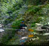 Byron Bay Rainforest Fishing - Accommodation Broome