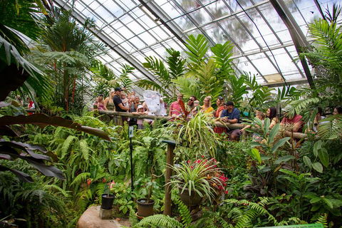 Australian Butterfly Sanctuary - Accommodation Broome 0