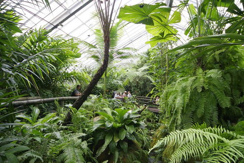 Australian Butterfly Sanctuary - Accommodation Broome 3