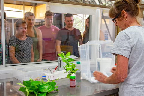 Australian Butterfly Sanctuary - Accommodation Broome 5