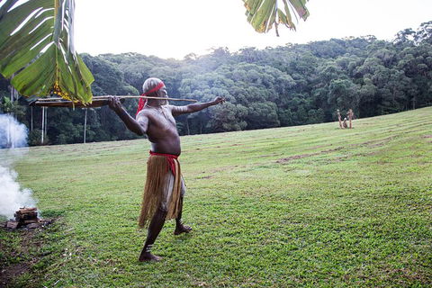 Classic Kuranda By Skyrail And Scenic Railway Including Rainforestation, Koala And Wildlife Park And Pamagirri Aboriginal Experi - Accommodation Broome 5
