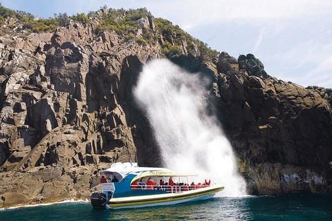 Full-Day Bruny Island Cruises Day Tour From Hobart - Accommodation Broome 4