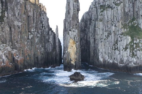 Tasman Island Cruises And Port Arthur Historic Site Day Tour From Hobart - Accommodation Broome 2