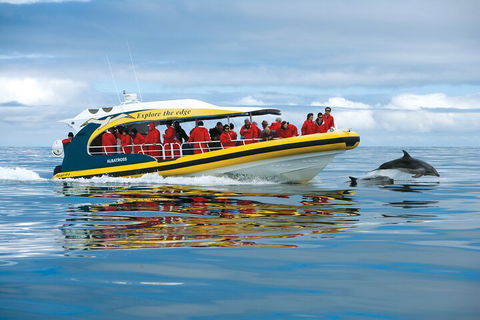 Tasman Island Cruises And Port Arthur Historic Site Day Tour From Hobart - Accommodation Broome 3
