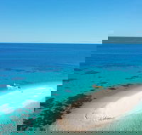 Ocean Safari Great Barrier Reef Experience in Cape Tribulation - Accommodation Broome