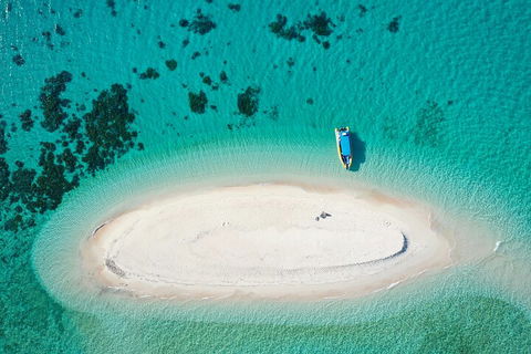 Ocean Safari Great Barrier Reef Experience In Cape Tribulation - Accommodation Broome 3